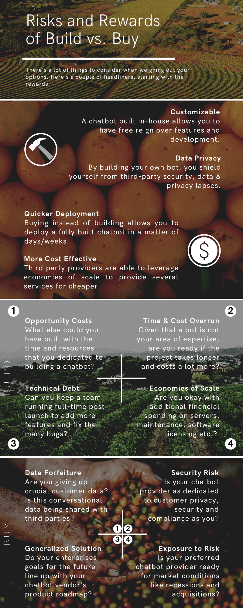 risks and rewards or build vs buy