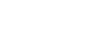 BFL group logo